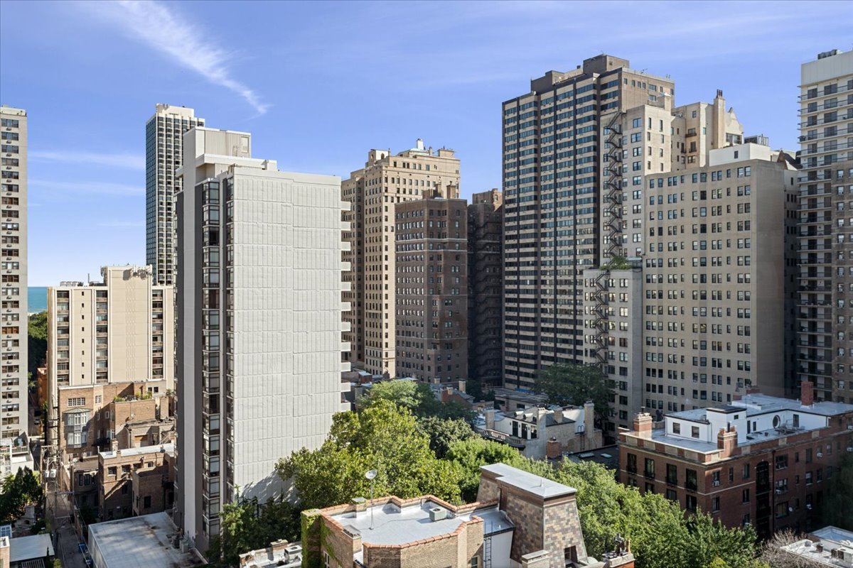 1 E Schiller Street Unit: 16C