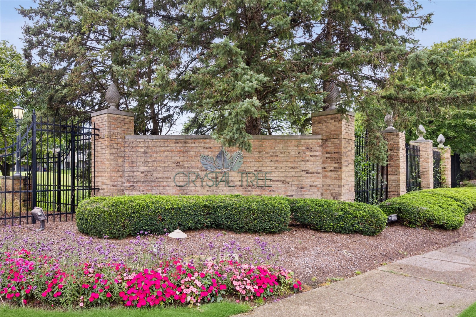 10724 Hollow Tree Court