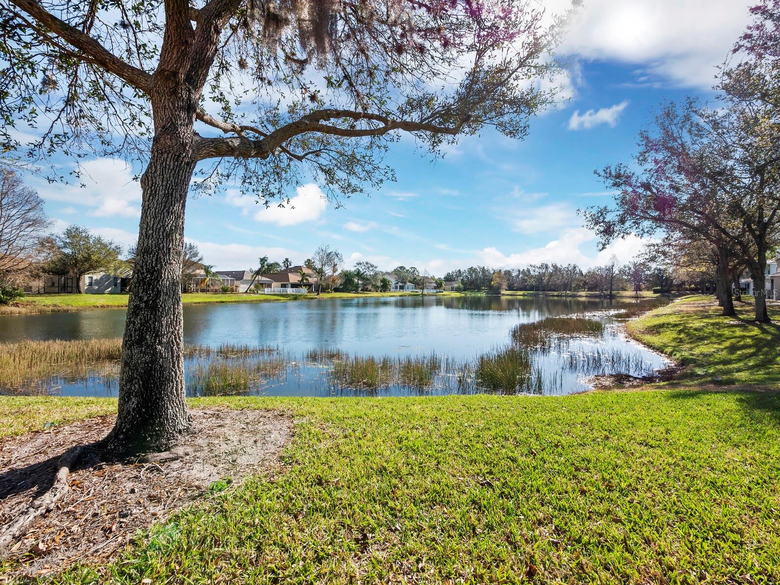 14969 AMBERJACK TERRACE