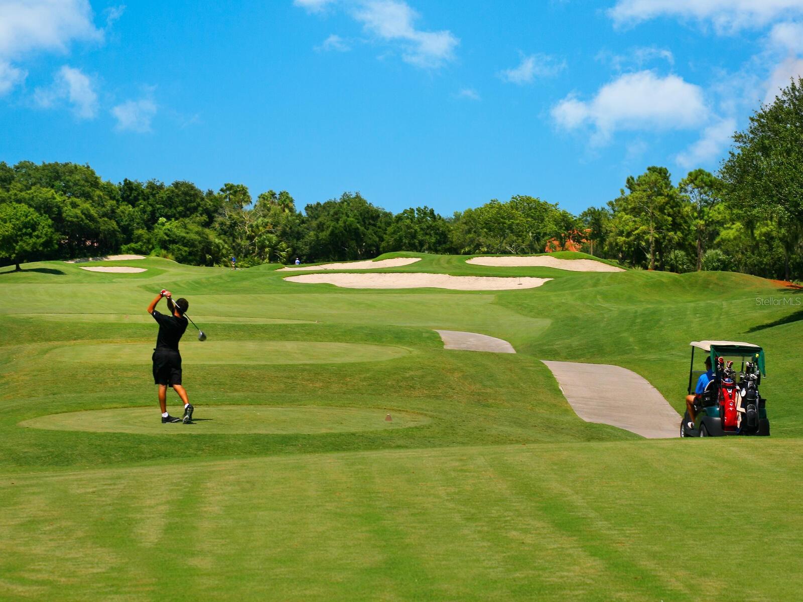 5538 PALMER CIR #206