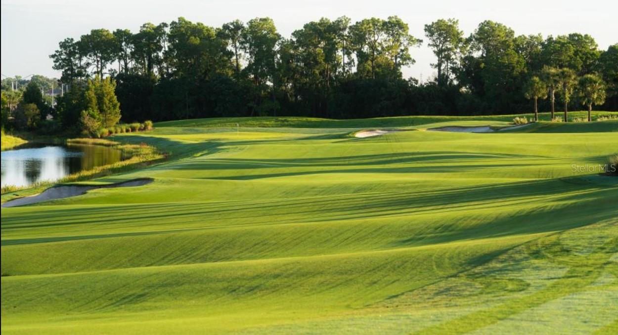 Golf course with rolling fairways, sand bunkers, a pond, and trees.