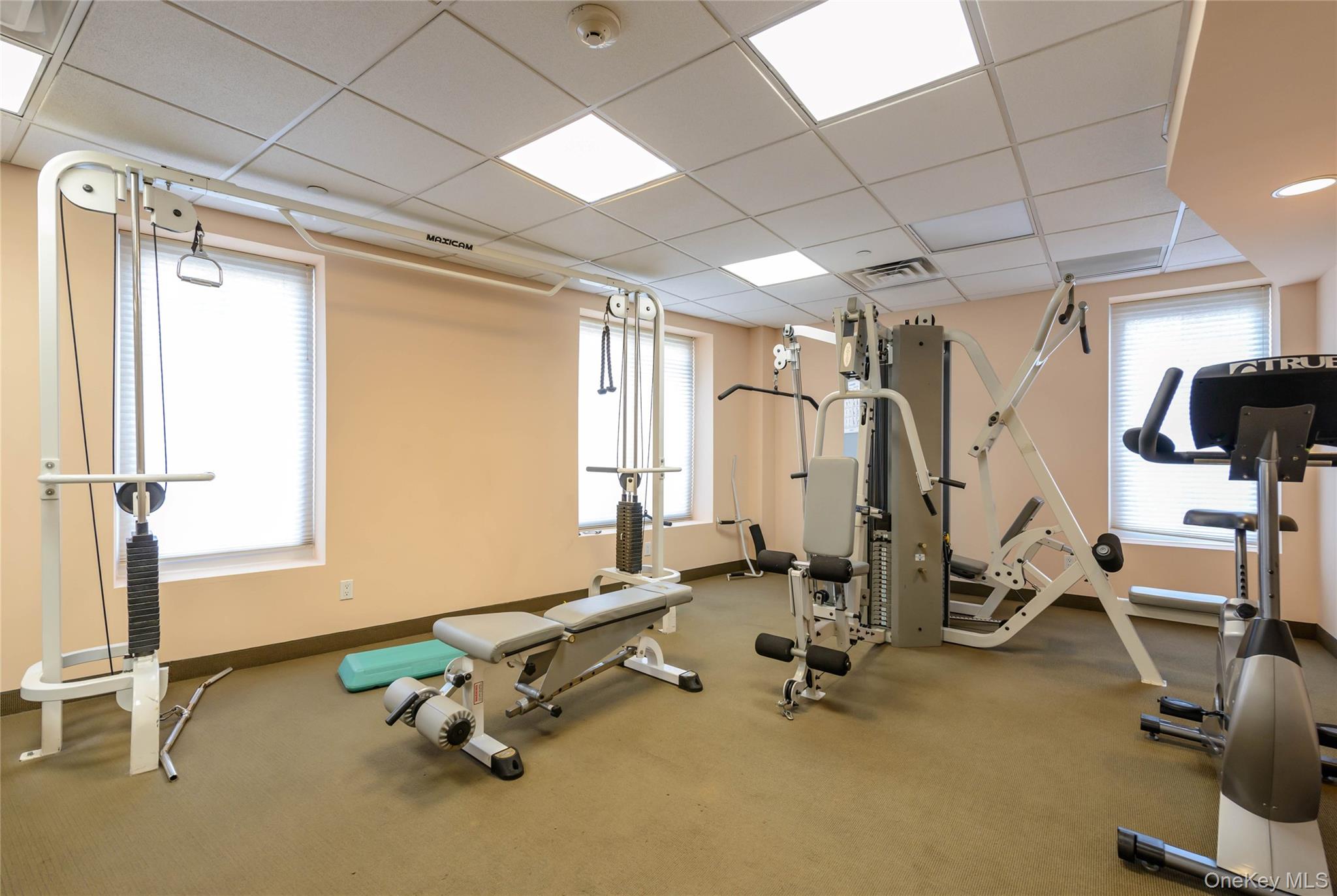242 Maple Avenue Unit: 419
