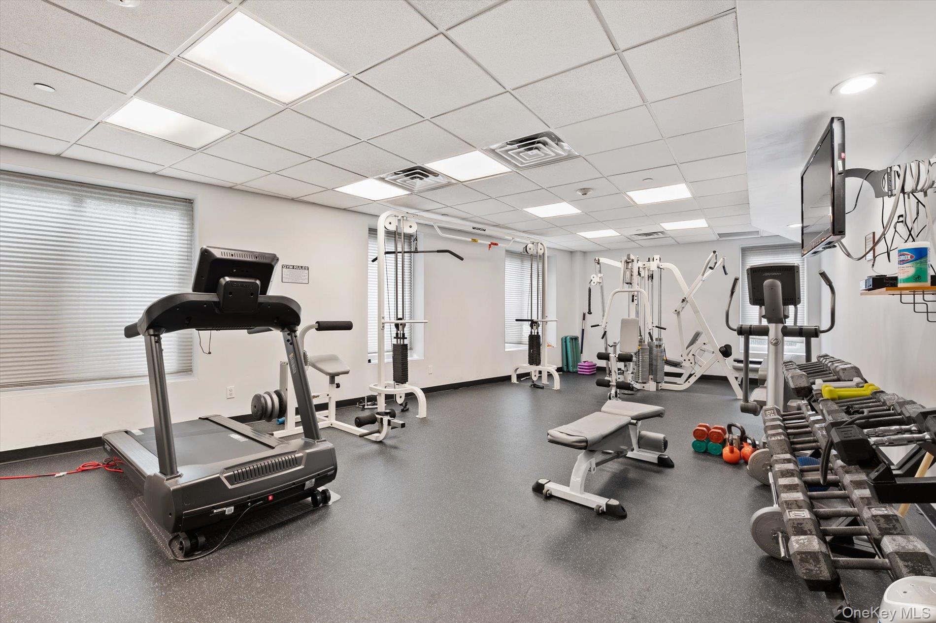 242 Maple Avenue Unit: 308