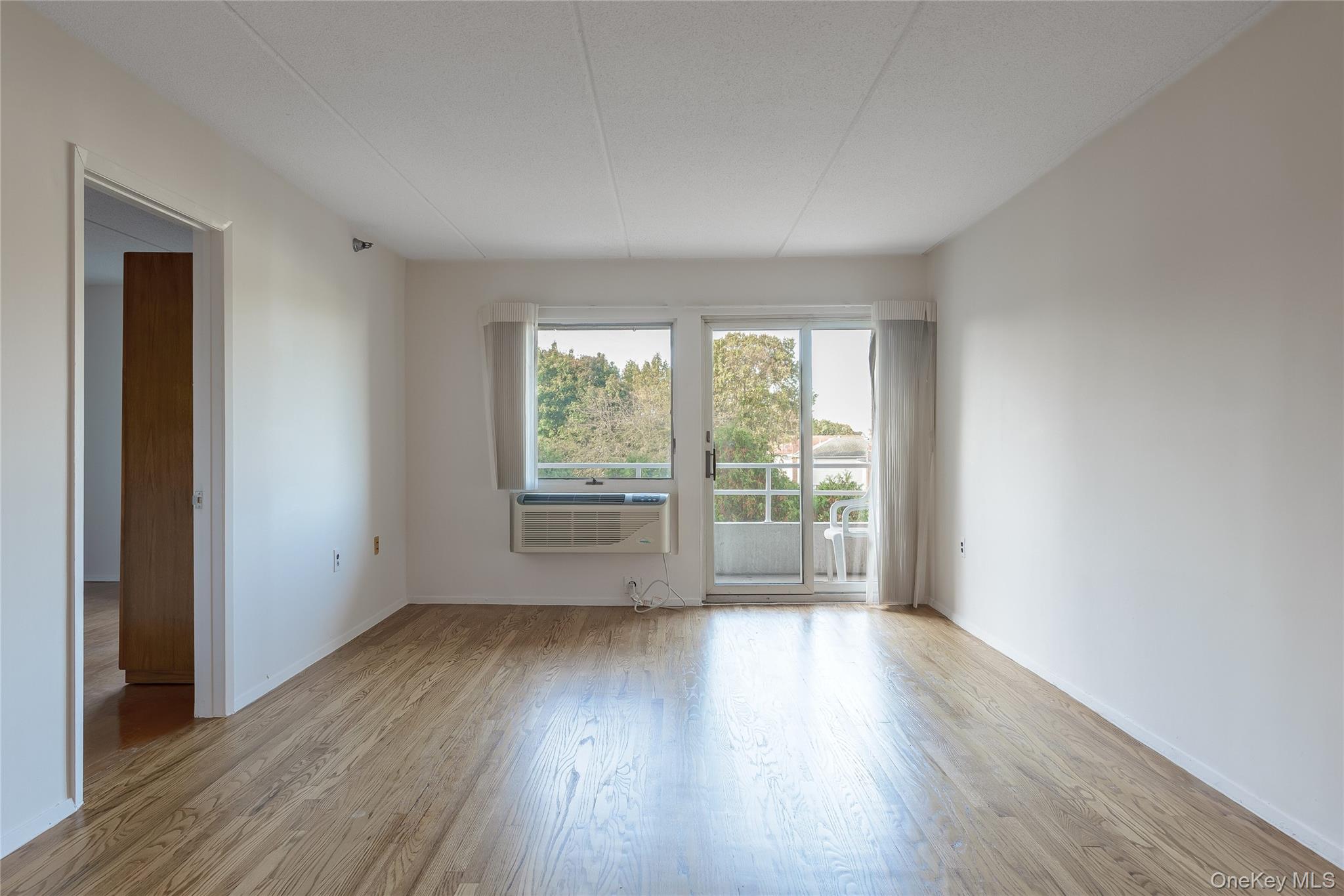 205 Mineola Boulevard Unit: 3G