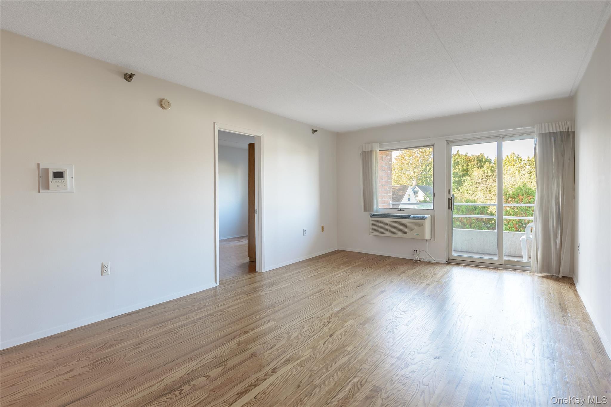 205 Mineola Boulevard Unit: 3G