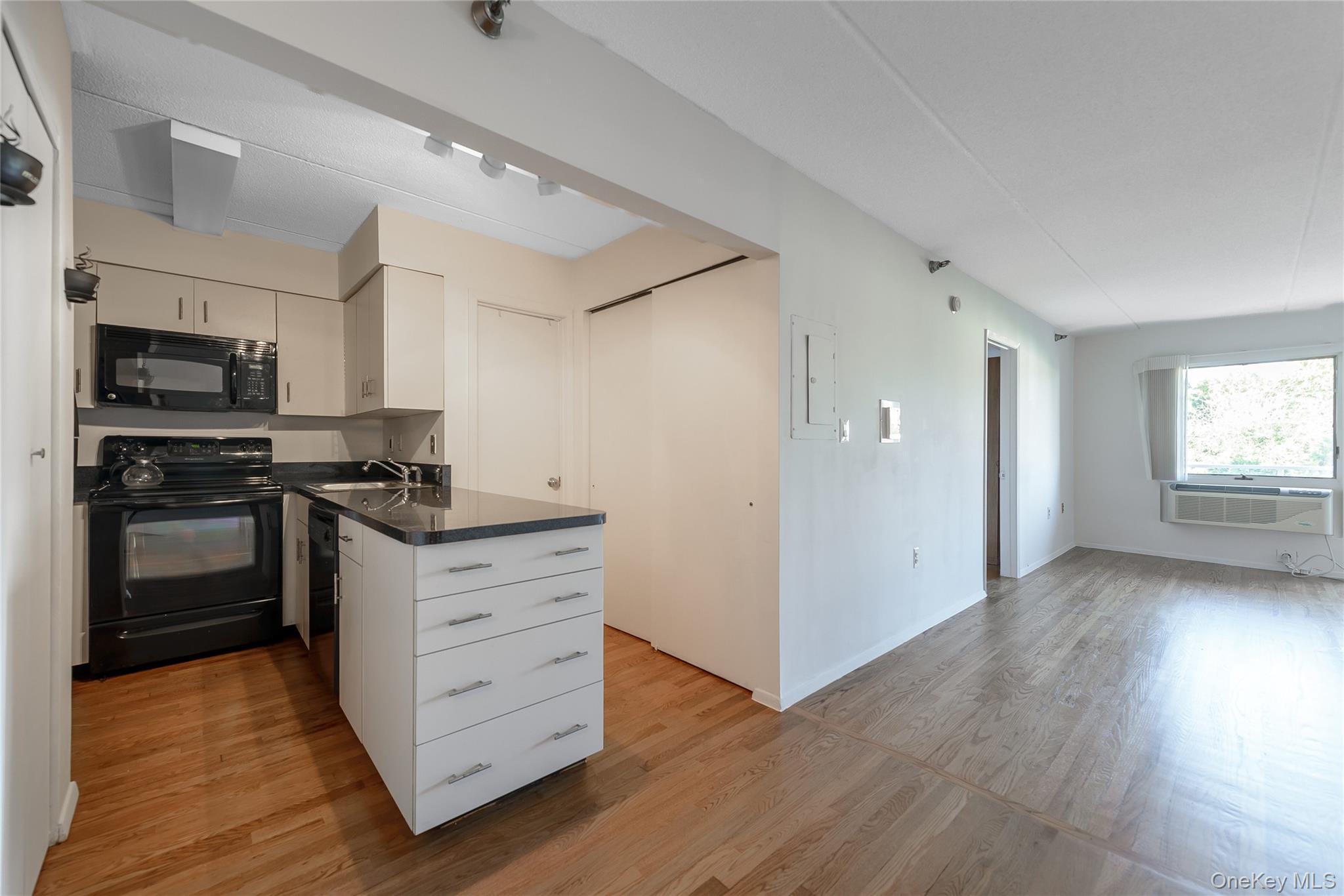 205 Mineola Boulevard Unit: 3G
