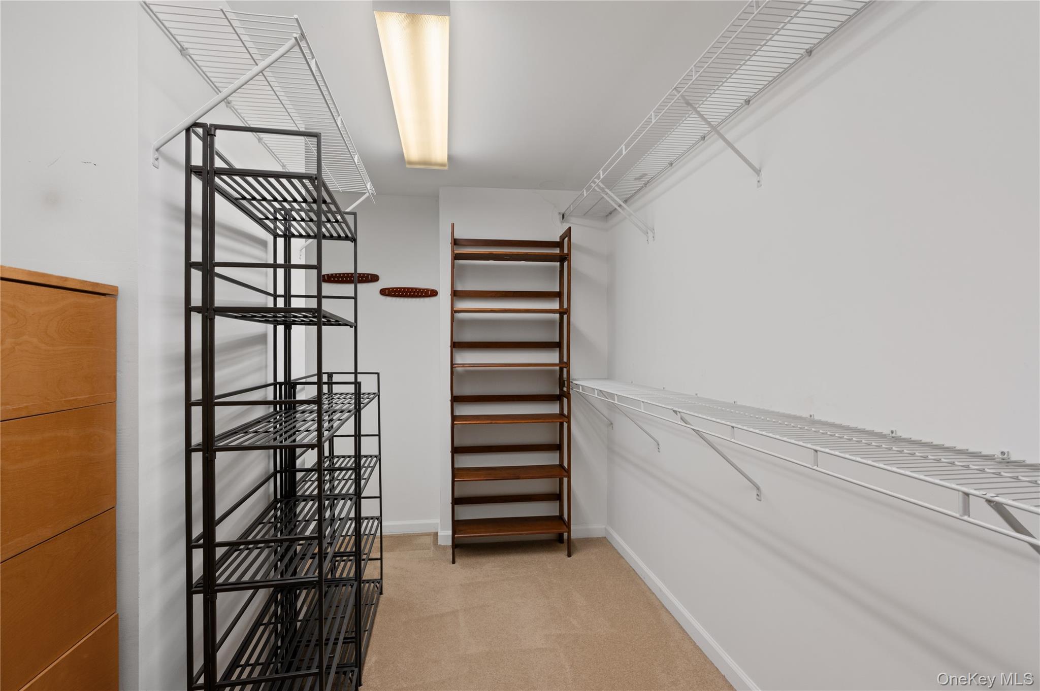 242 Maple Avenue Unit: 502