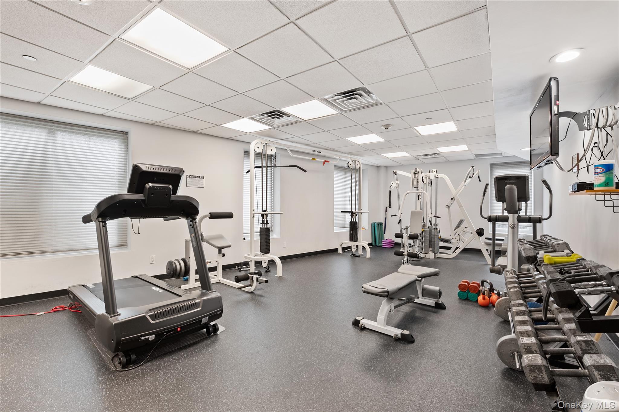 242 Maple Avenue Unit: 502