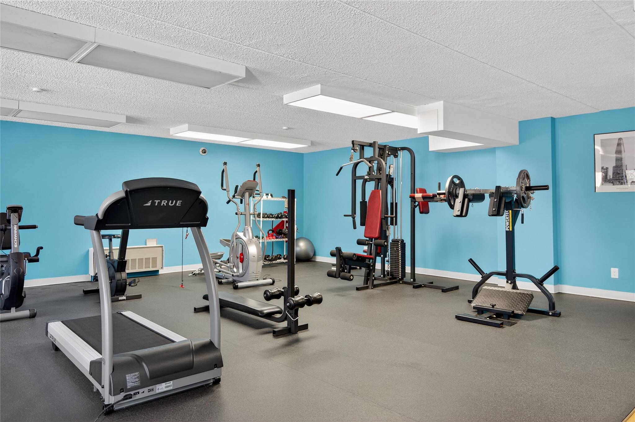 175 Maple Avenue Unit: 5G