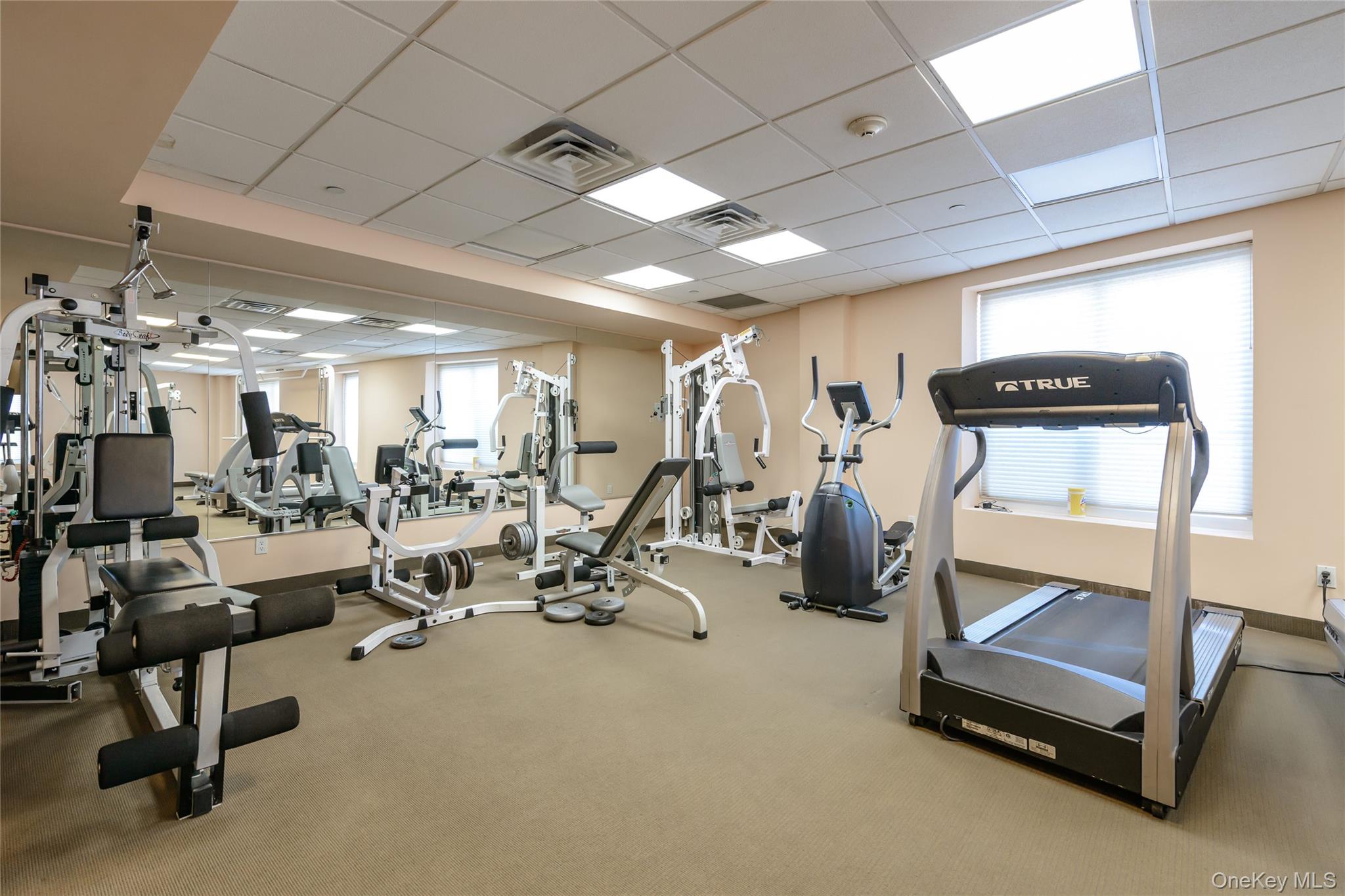 242 Maple Avenue Unit: 601