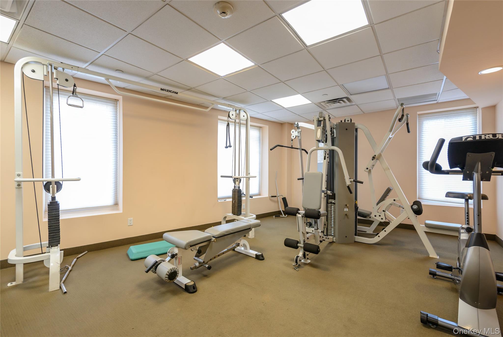 242 Maple Avenue Unit: 601