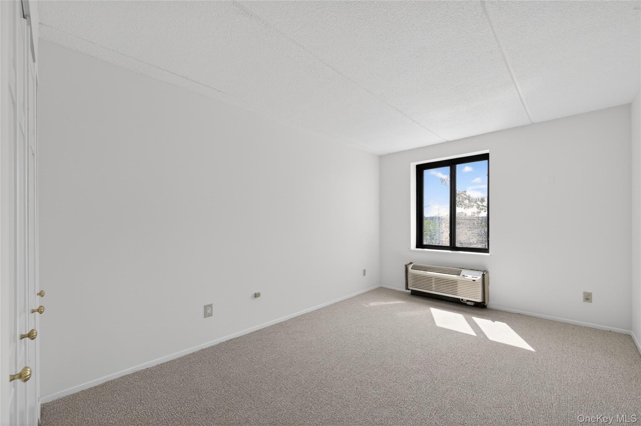 175 Maple Avenue Unit: 3G