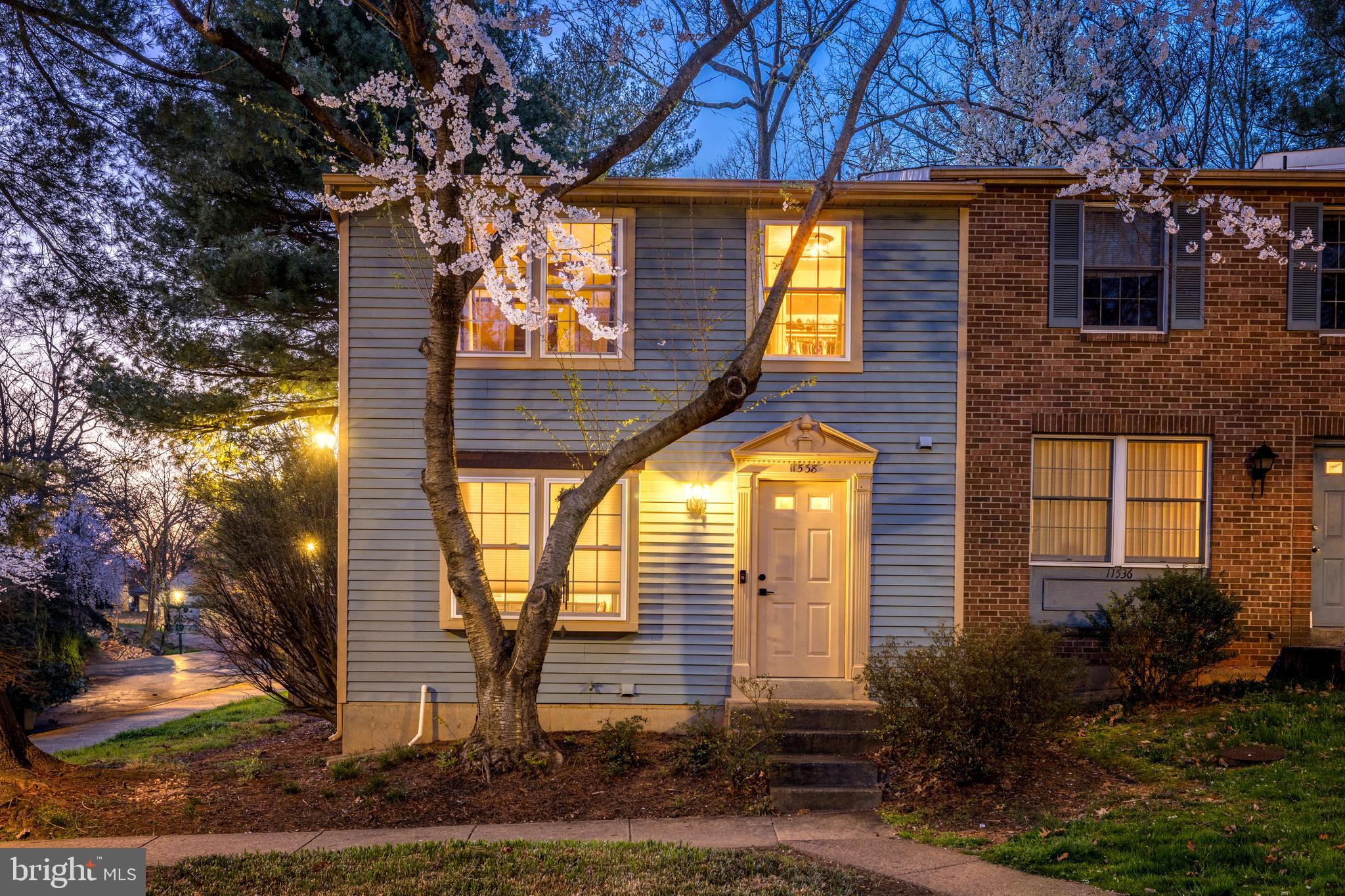 11538 Ivy Bush Ct