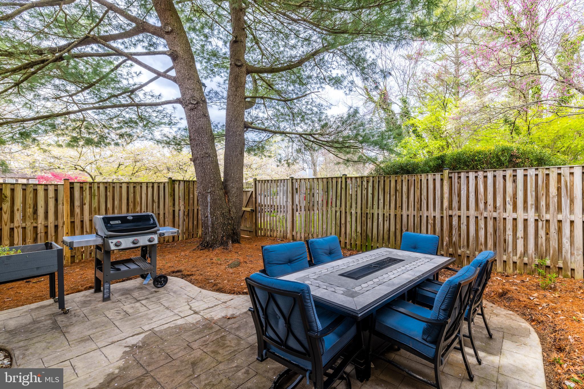 11538 Ivy Bush Ct