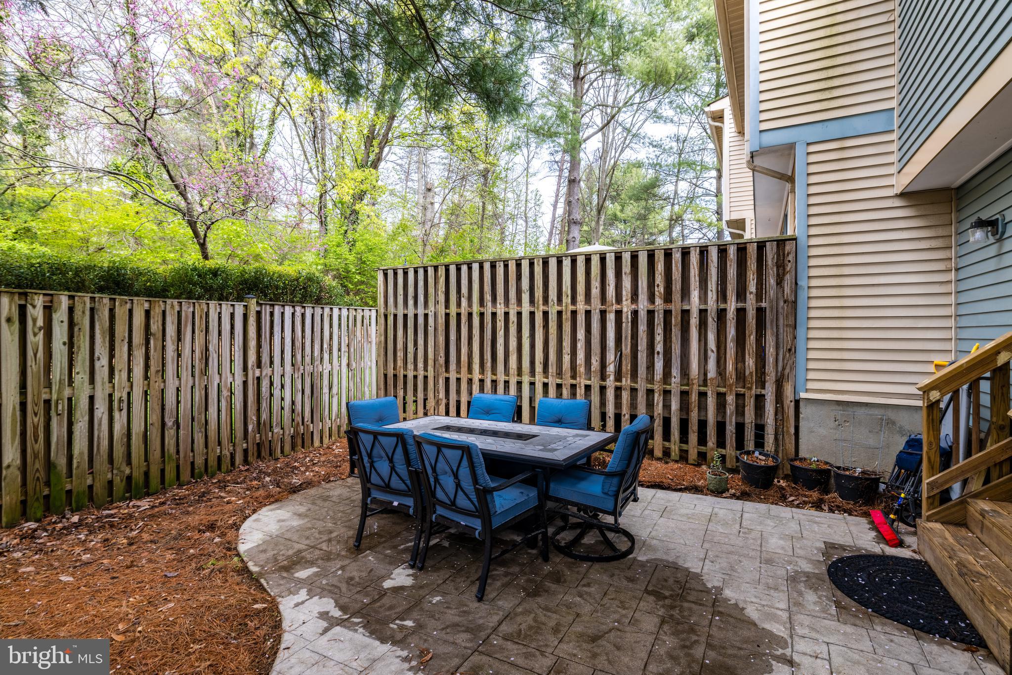 11538 Ivy Bush Ct