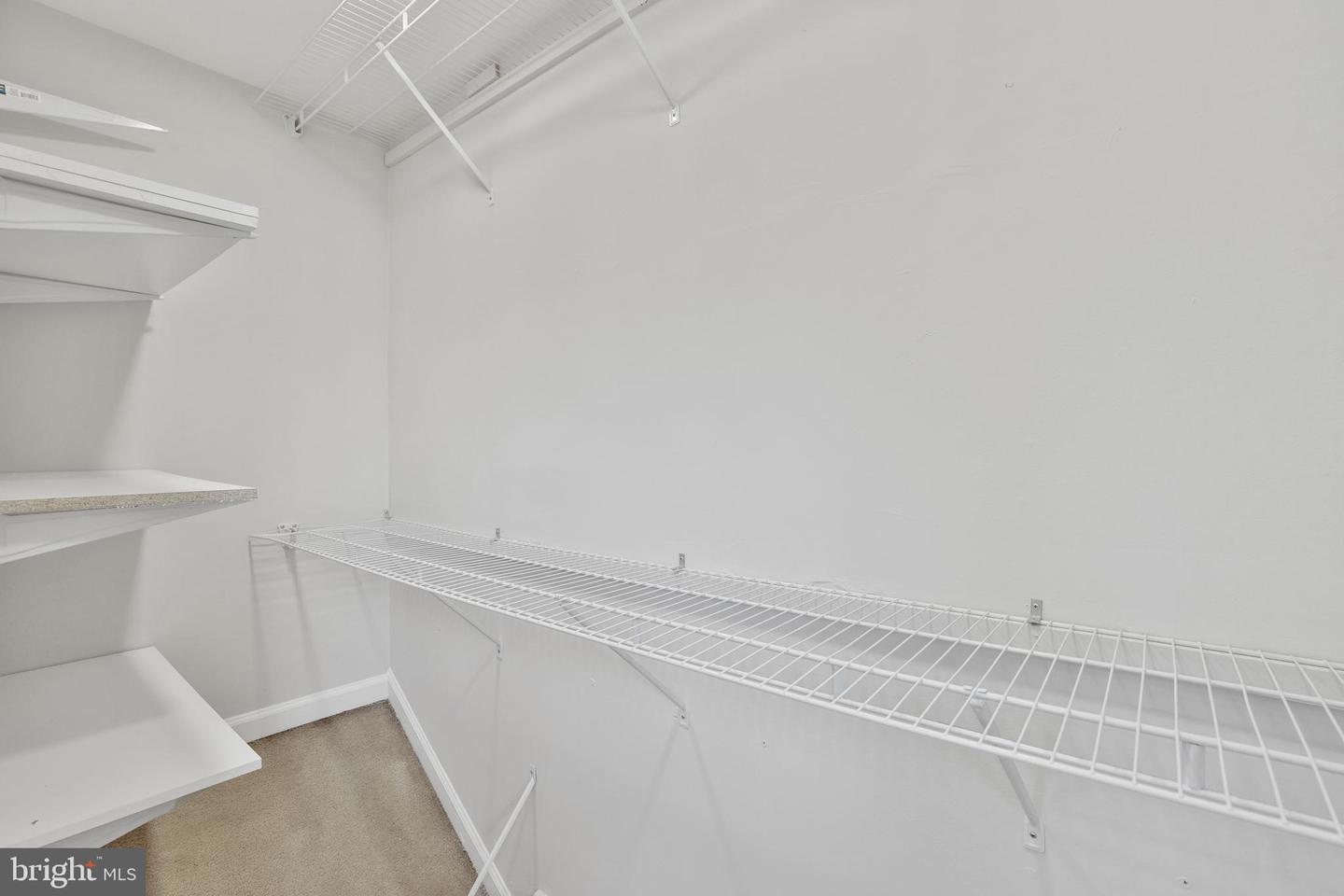 14428 Manassas Gap Ct