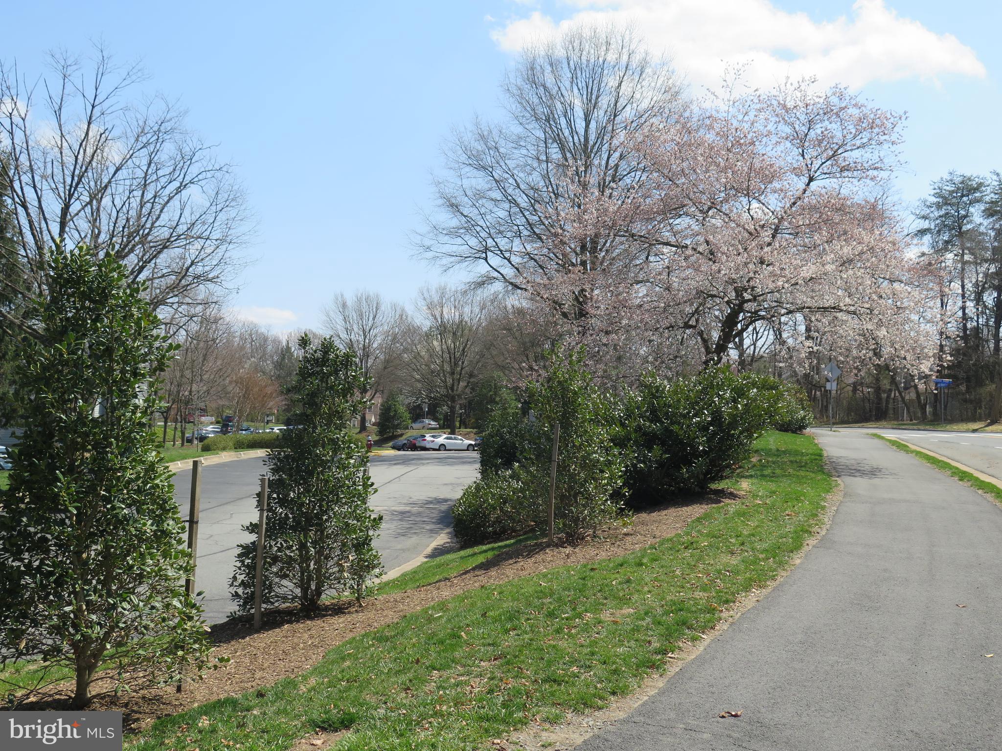 1516-C SUMMERCHASE CT #C