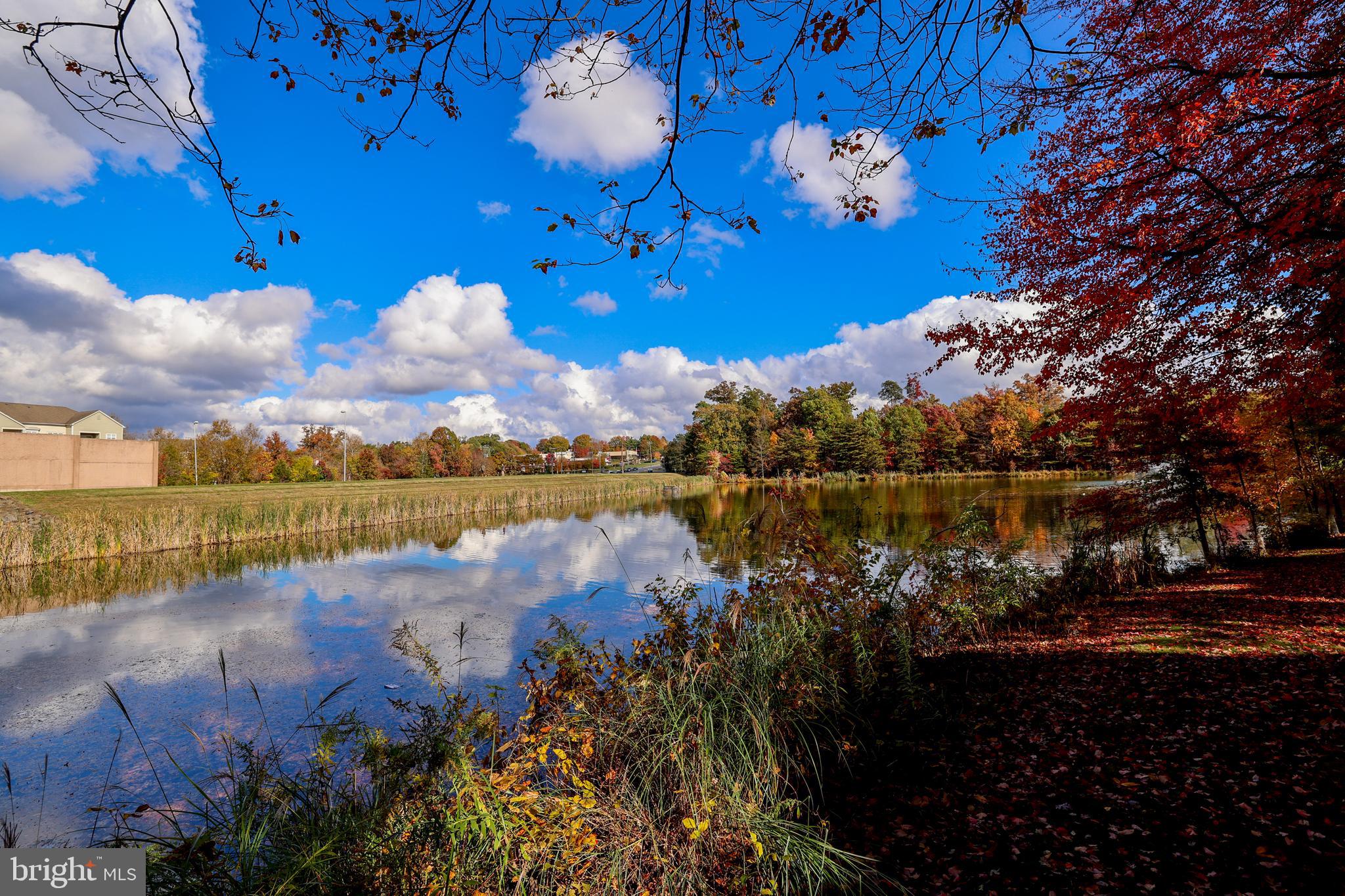 1708 LAKE SHORE CREST DRIVE 13