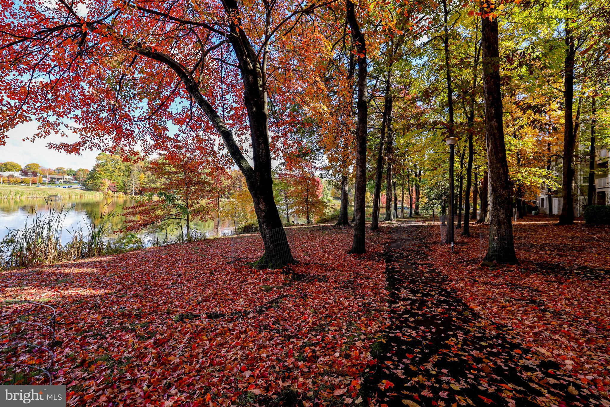 1708 LAKE SHORE CREST DRIVE 13