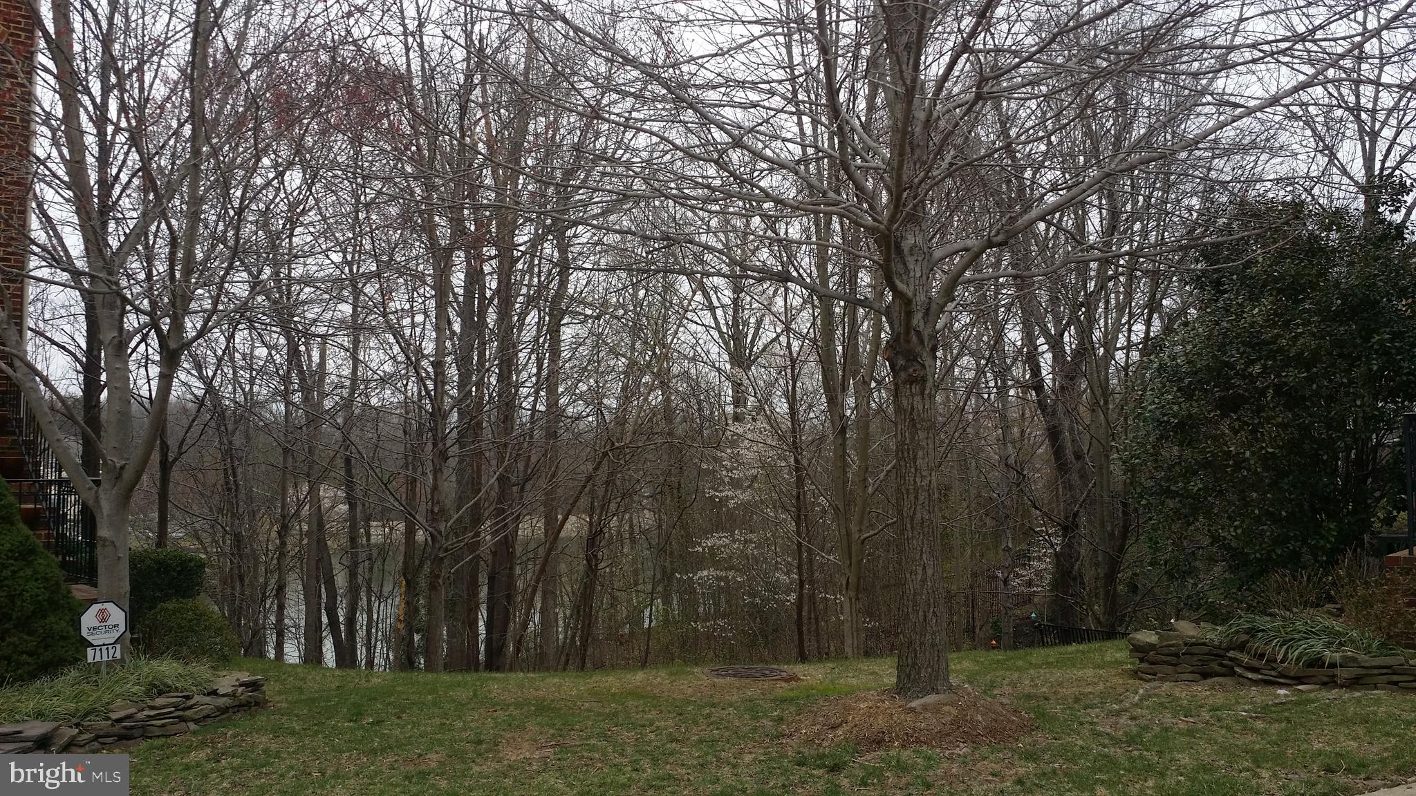 7106 POINT REPLETE CIRCLE