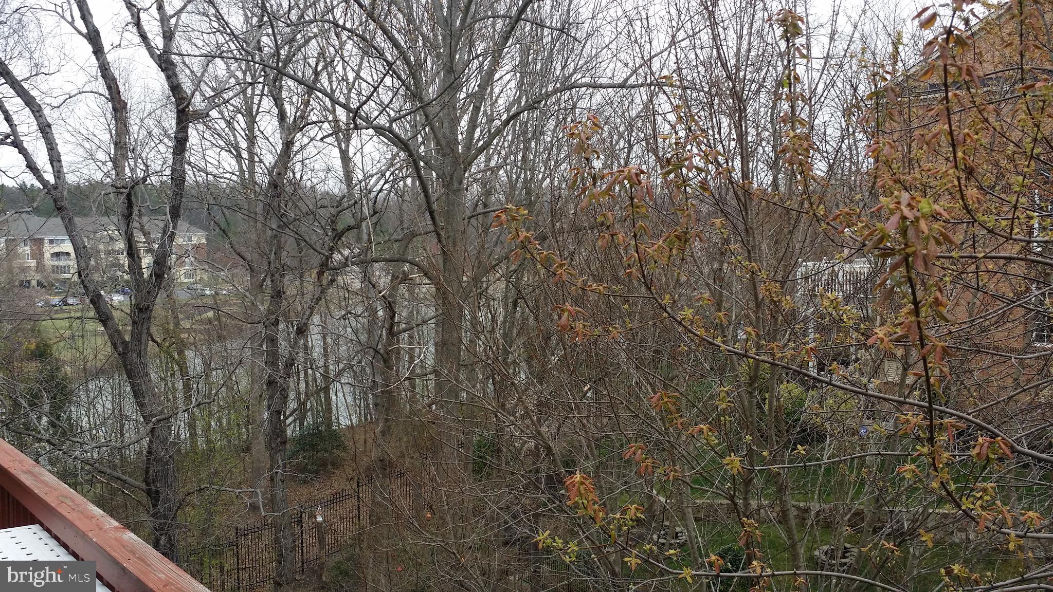 7106 POINT REPLETE CIRCLE