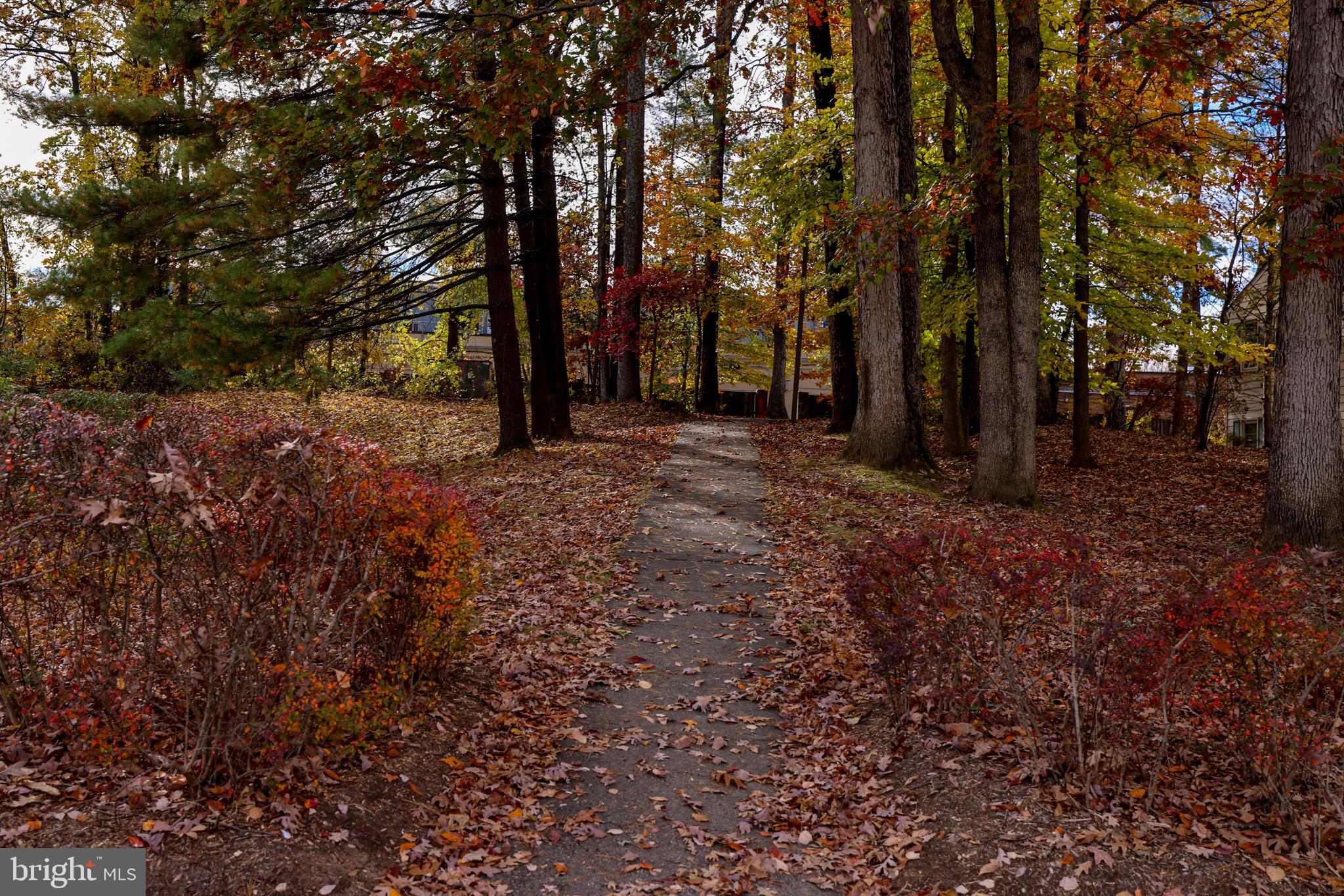 9523 CHERRY OAK COURT