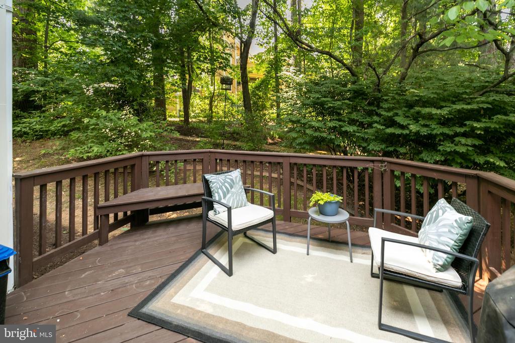 11554 BRASS LANTERN COURT