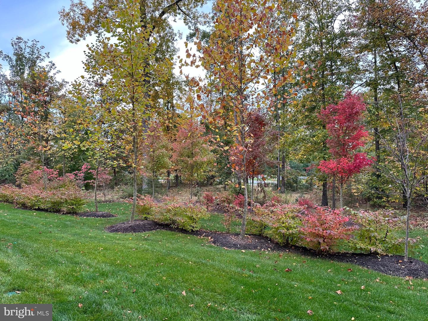 23255 Milltown Knoll SQUARE Unit: 111