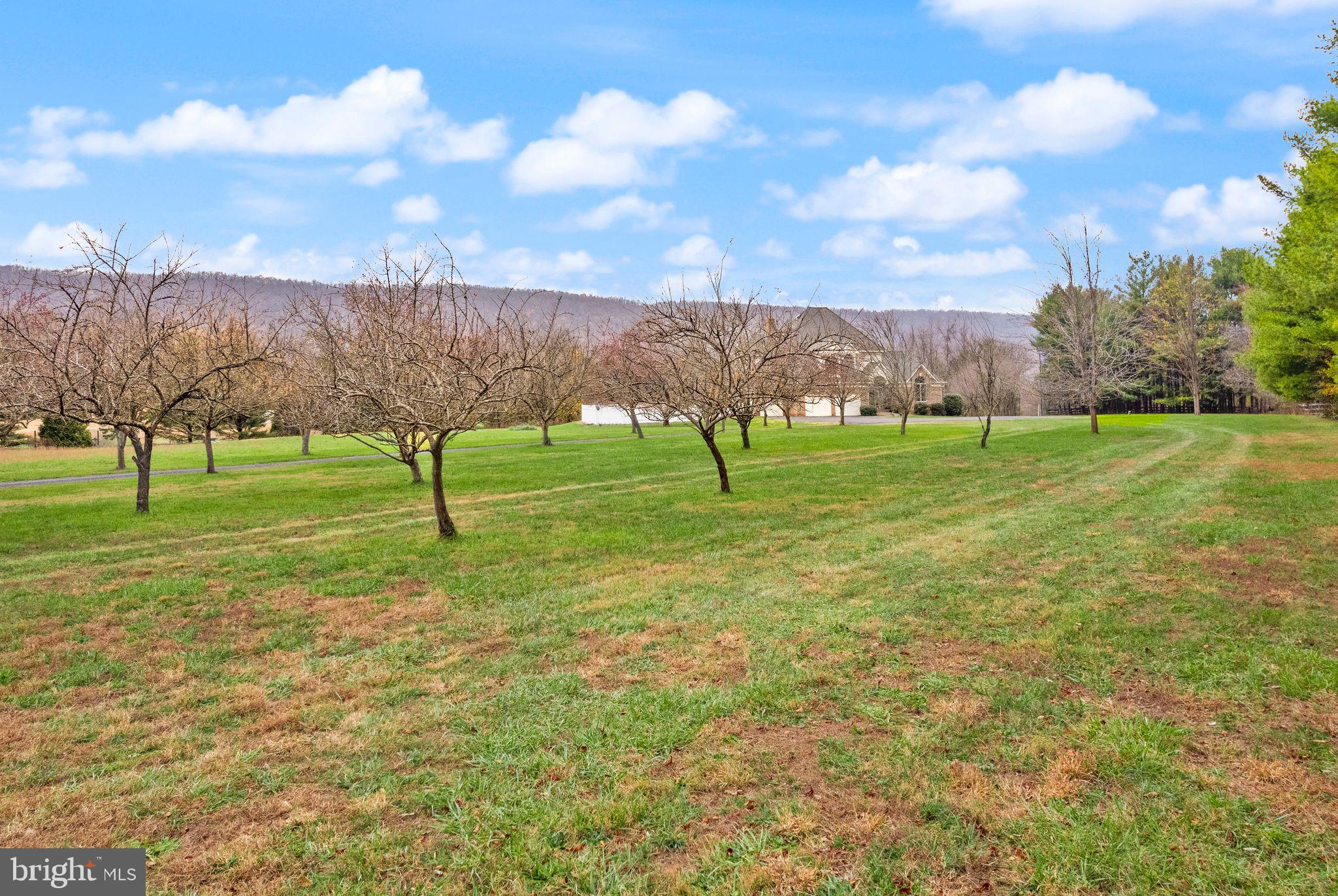 38241 Mountain Air Ln