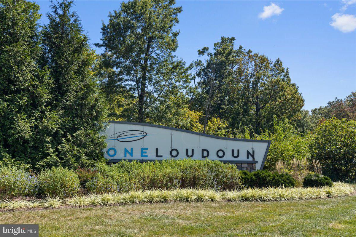 44614 WOLFHOUND SQUARE