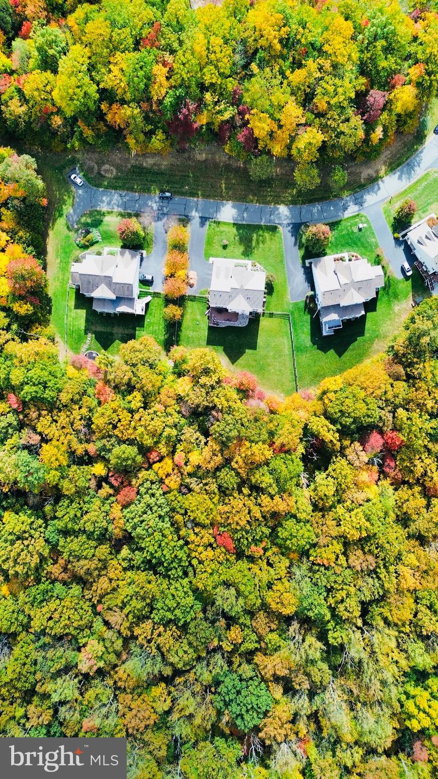 41640 Montacute Lane