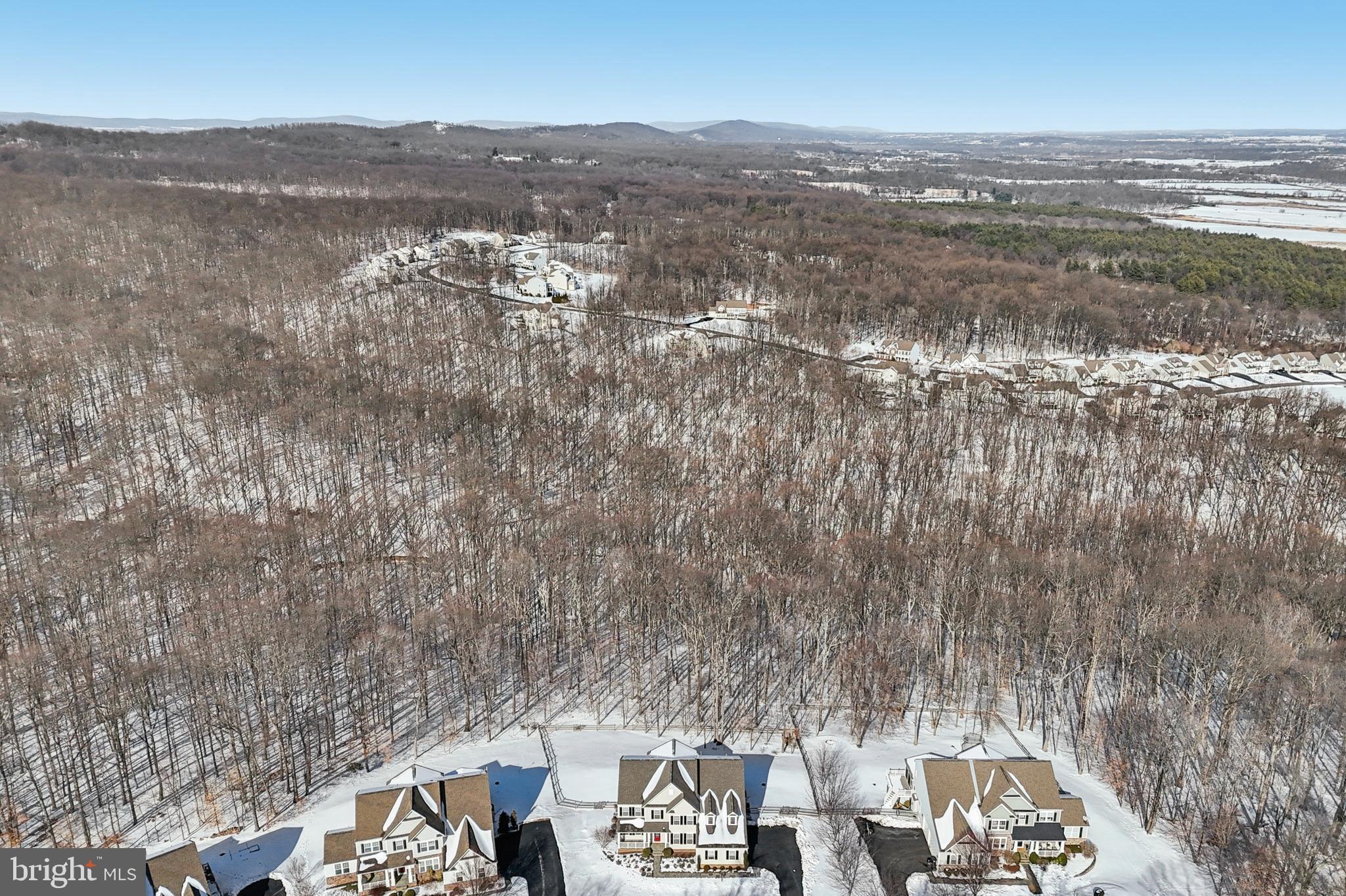 41640 Montacute Lane