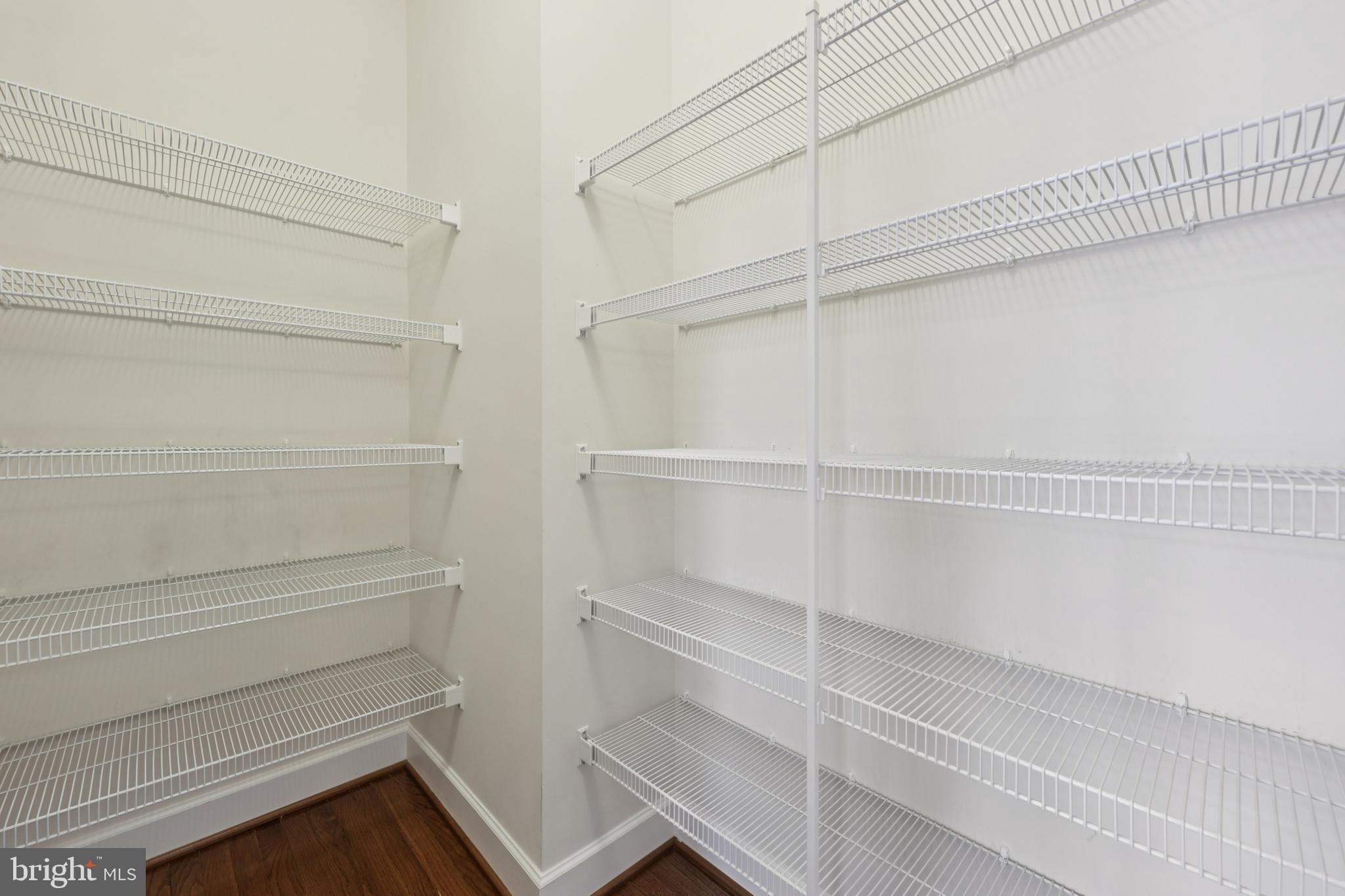 41640 Montacute Lane