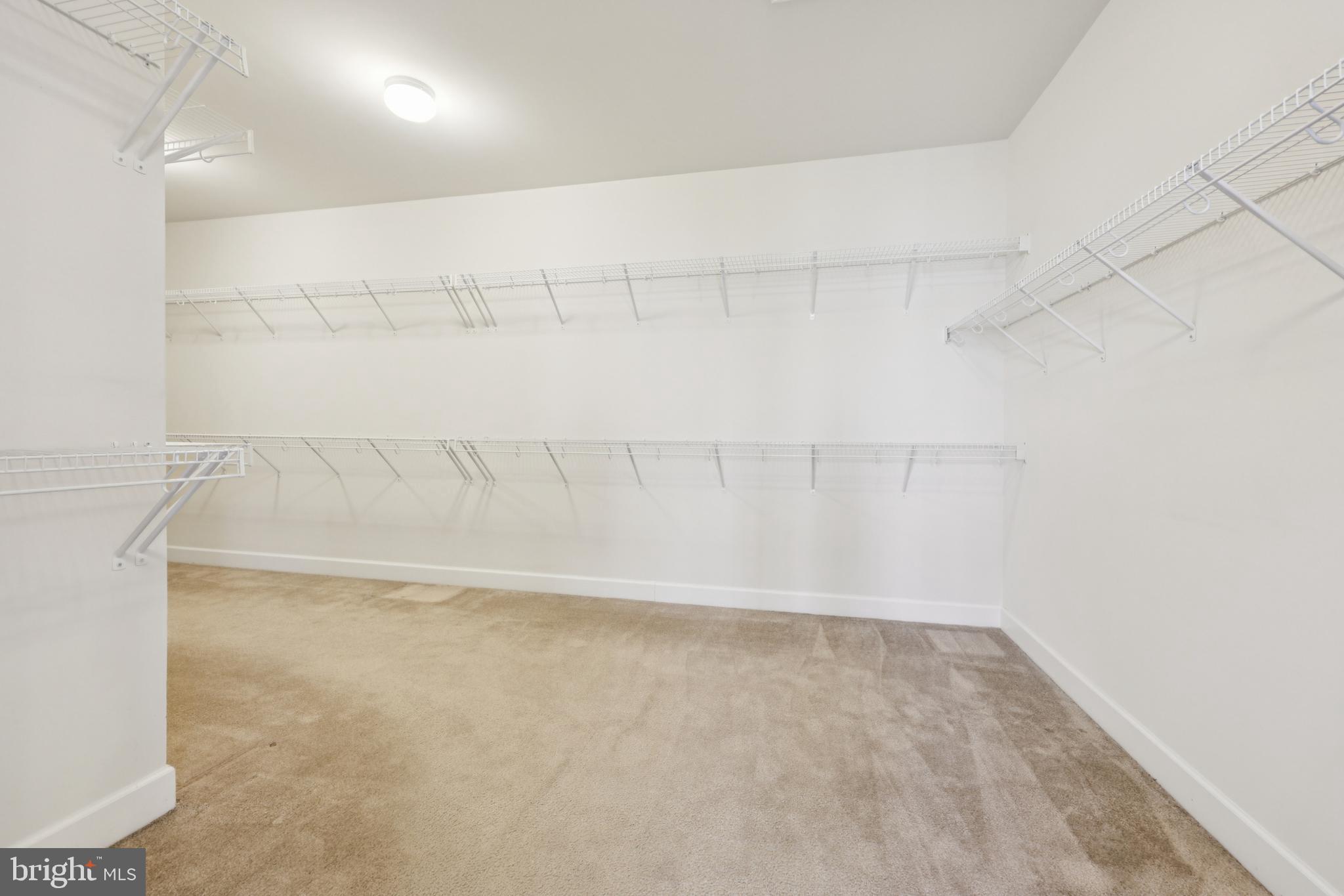 41640 Montacute Lane