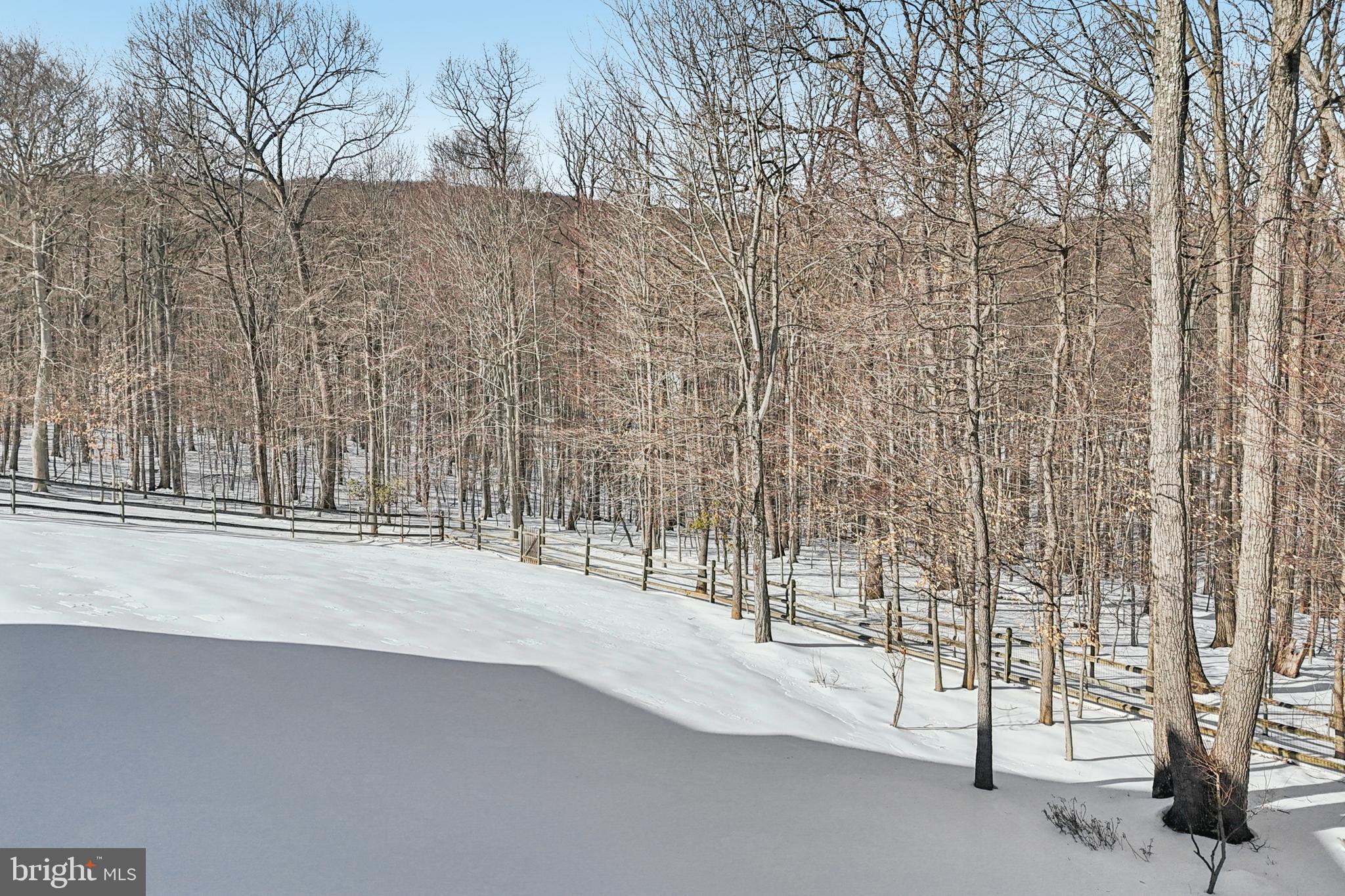 41640 Montacute Lane