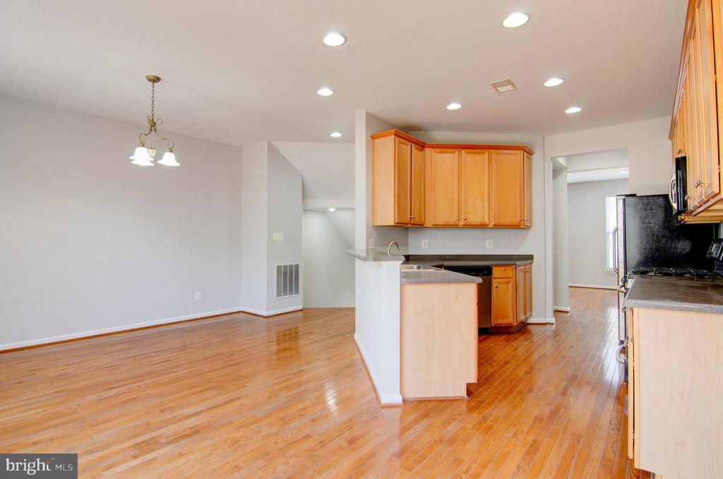 21939 BRAMBLEBUSH TERRACE
