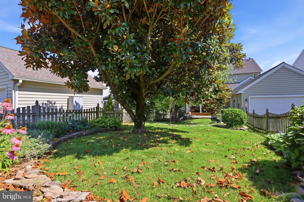 43253 STONEWALL POND STREET