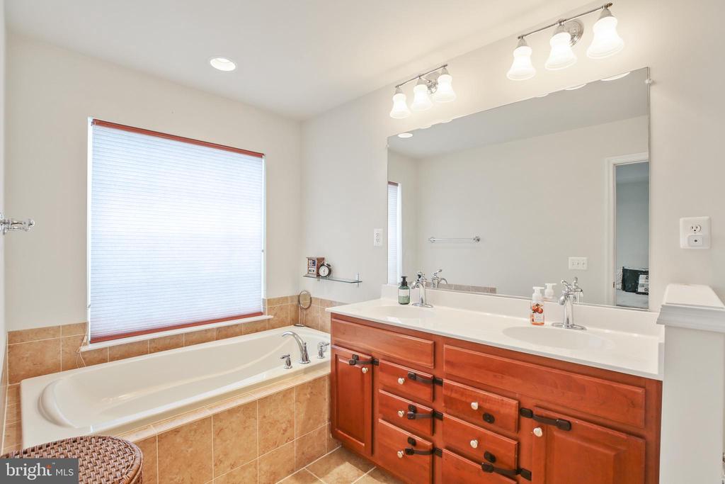 25501 AMBER GATE TERRACE