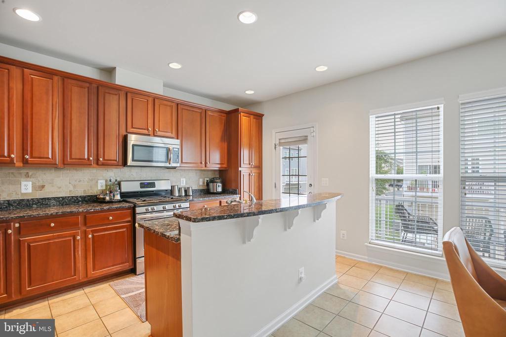 25501 AMBER GATE TERRACE