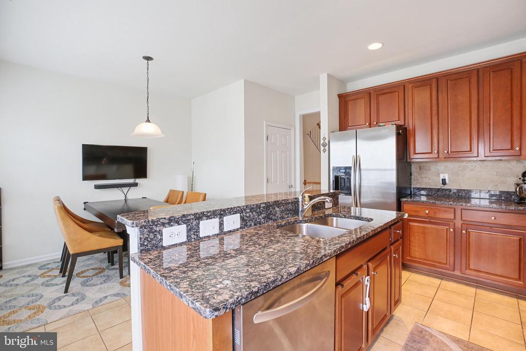 25501 AMBER GATE TERRACE