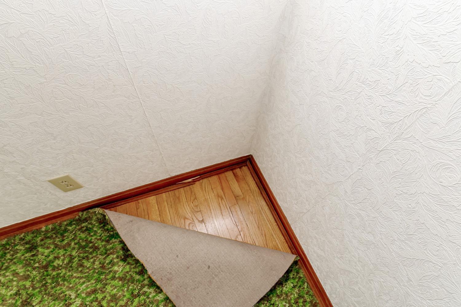 7905 Plainfield Road