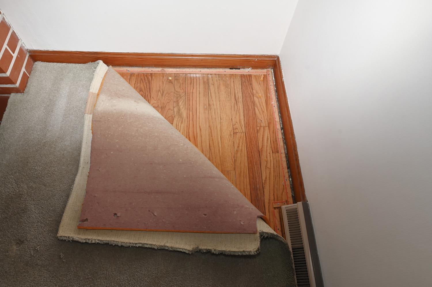 7905 Plainfield Road