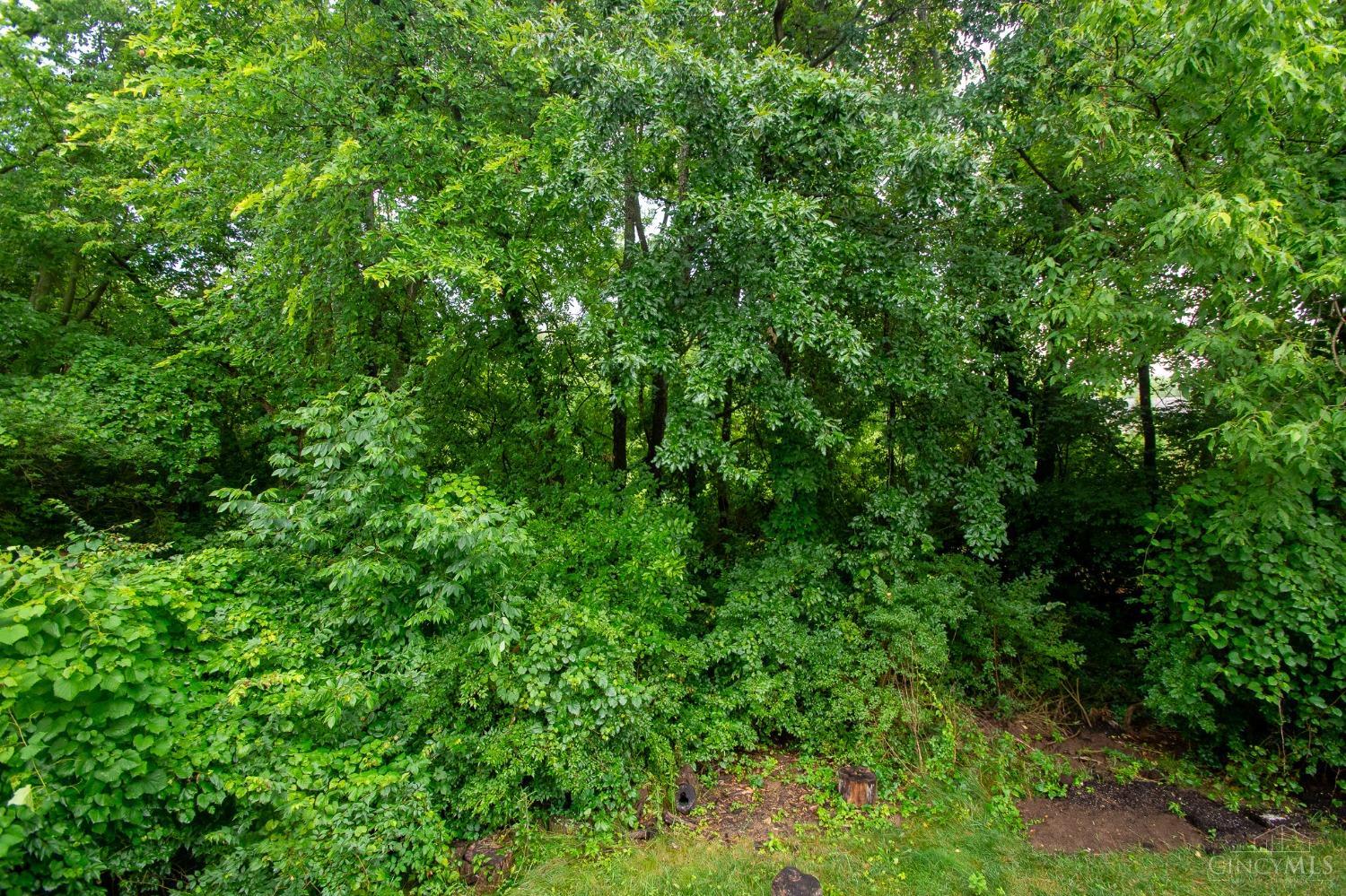 3168 Morning Mist Drive