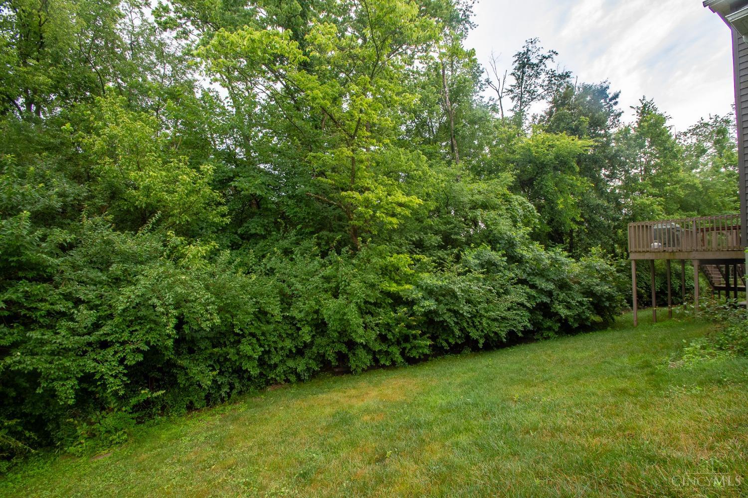 3168 Morning Mist Drive