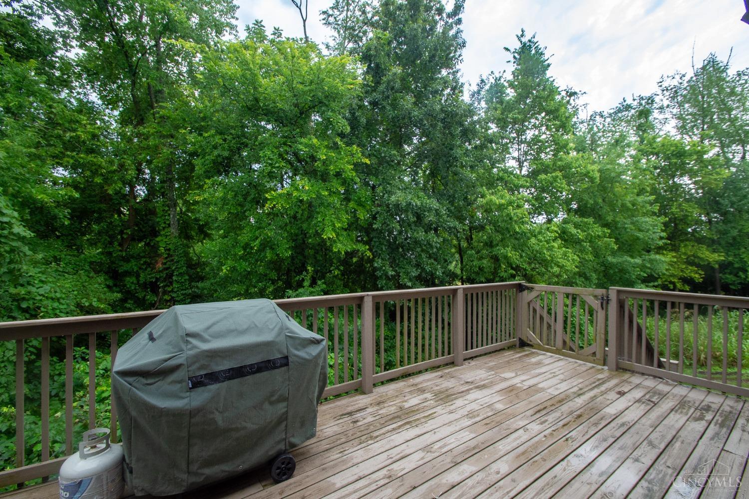 3168 Morning Mist Drive