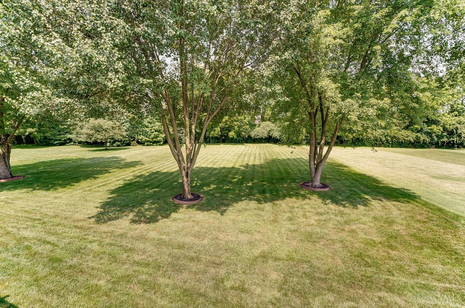 4494 Millbrook Lane