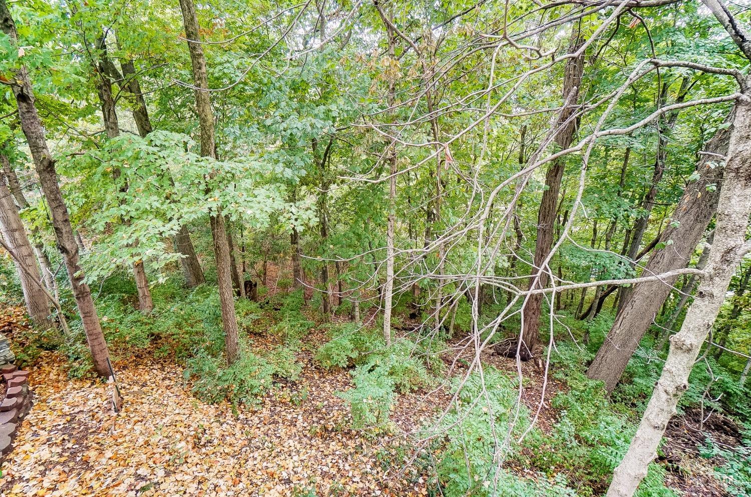 470 Gregorian Drive