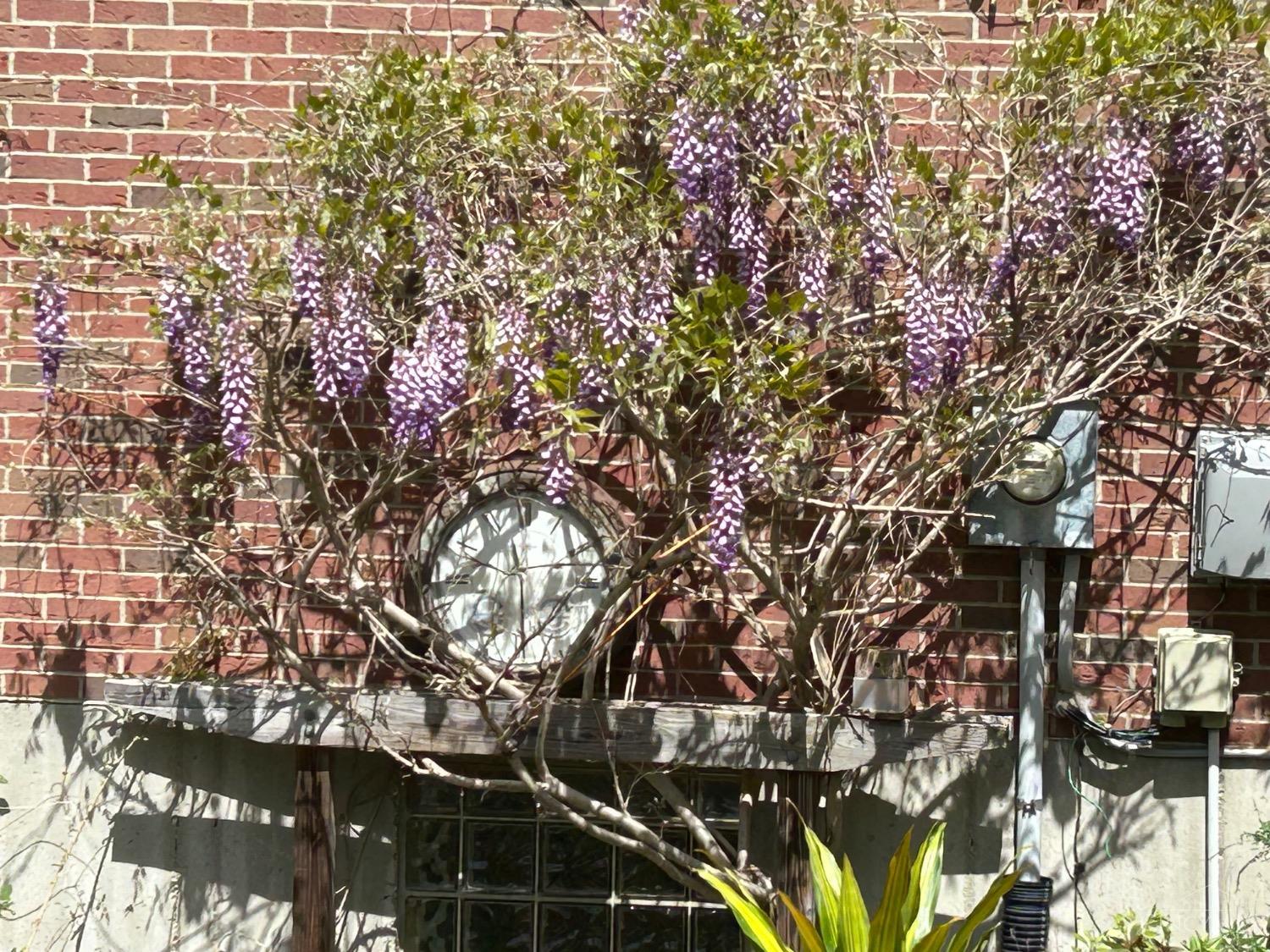 470 Gregorian Drive