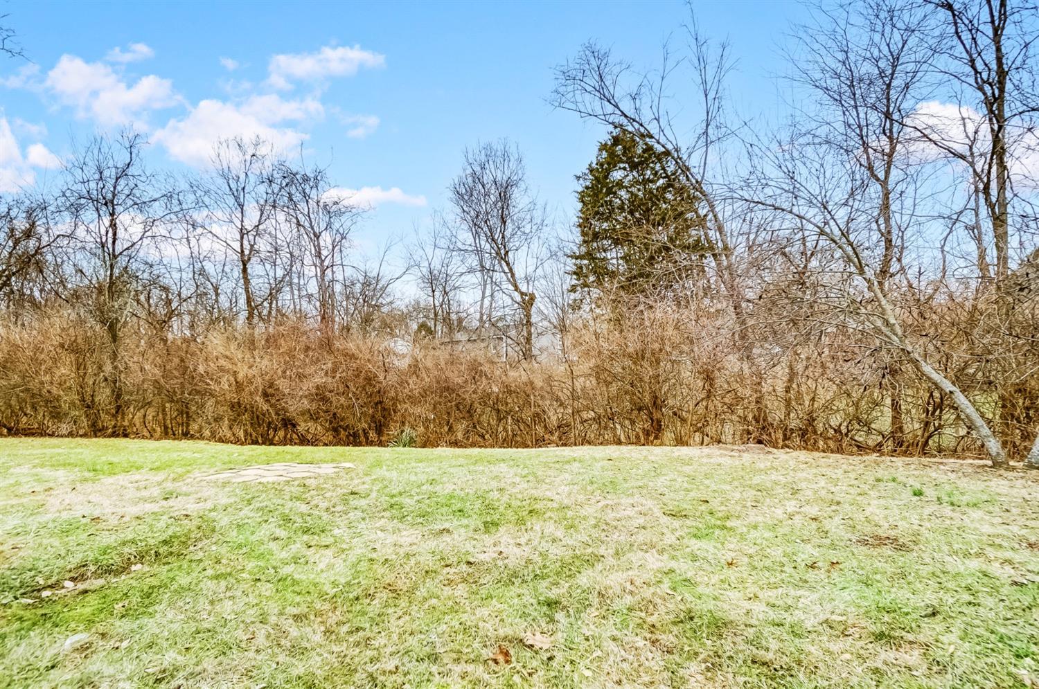 2517 Teuton Court