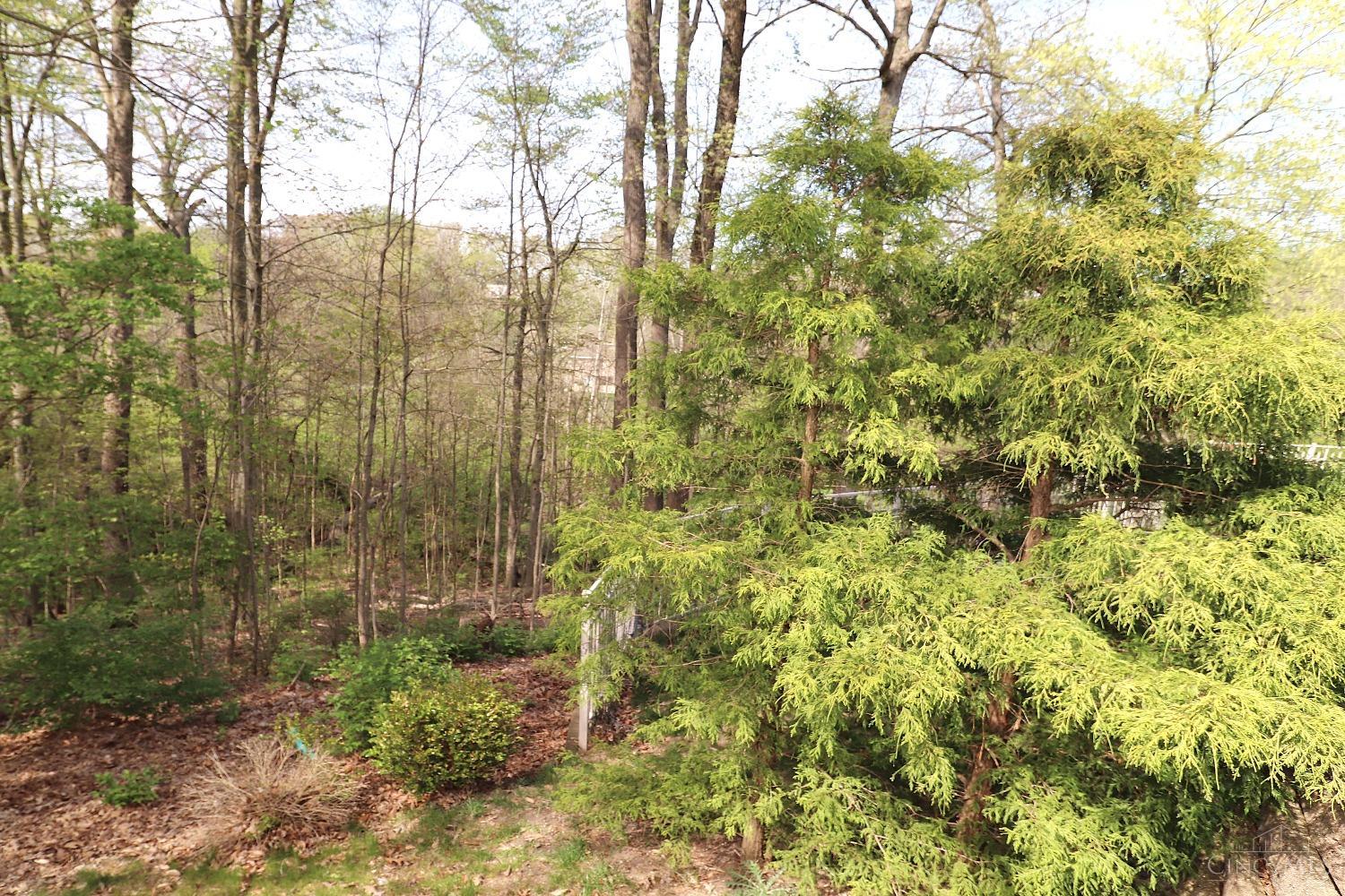 12055 Crestfield Court